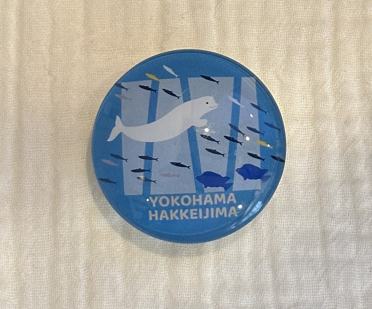 横浜・八景島シーパラダイス限定で販売されている、ベルーガマグネット