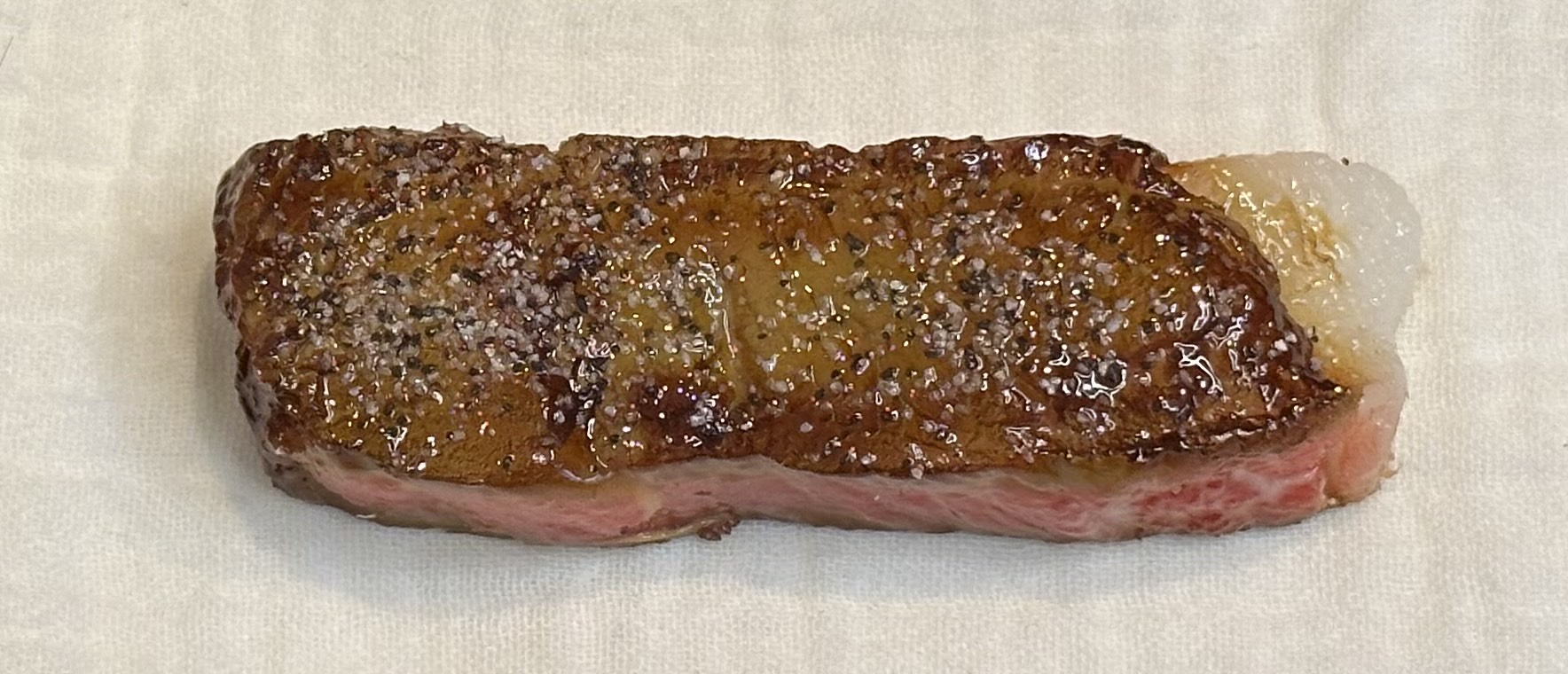 #140 食品サンプルマグネット ステーキマグネット